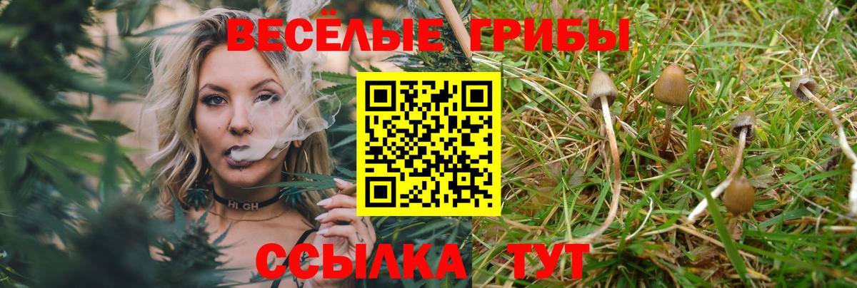 Псилоцибиновые грибы ЛСД Назарово