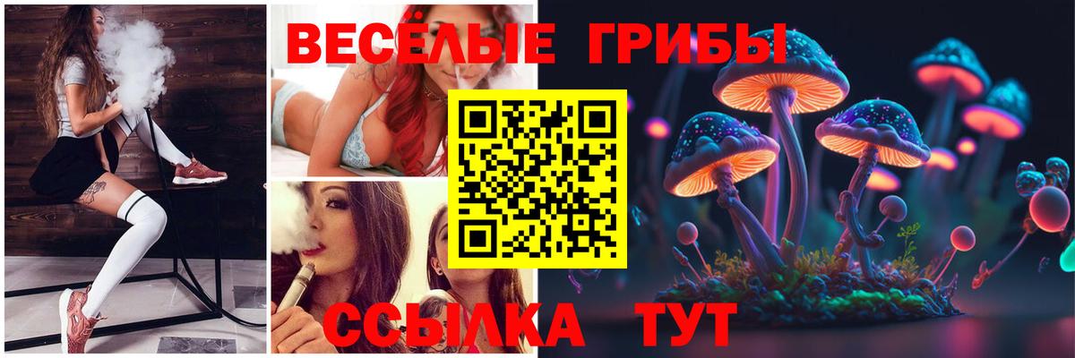 Назарово  Псилоцибиновые грибы GOLDEN TEACHER  Вход с VPN 